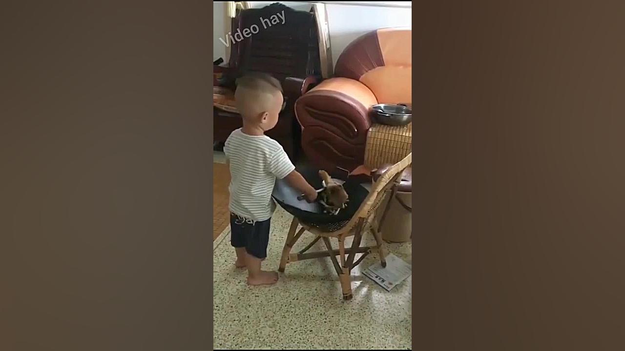 سعی نکنید به چالش بکشید || جمع...