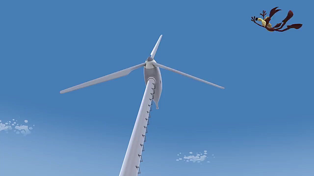 کارتون میگ میگ و کایوت