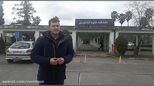 علی پاسبانی