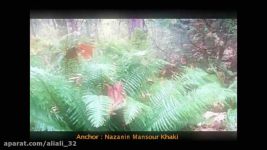 موج هواشناسی 12  استودیو صداها...