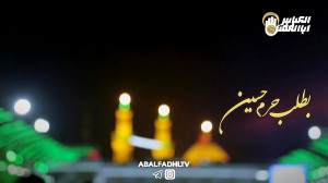 کلیپ کربلا ویژه شب زیارتی امام...