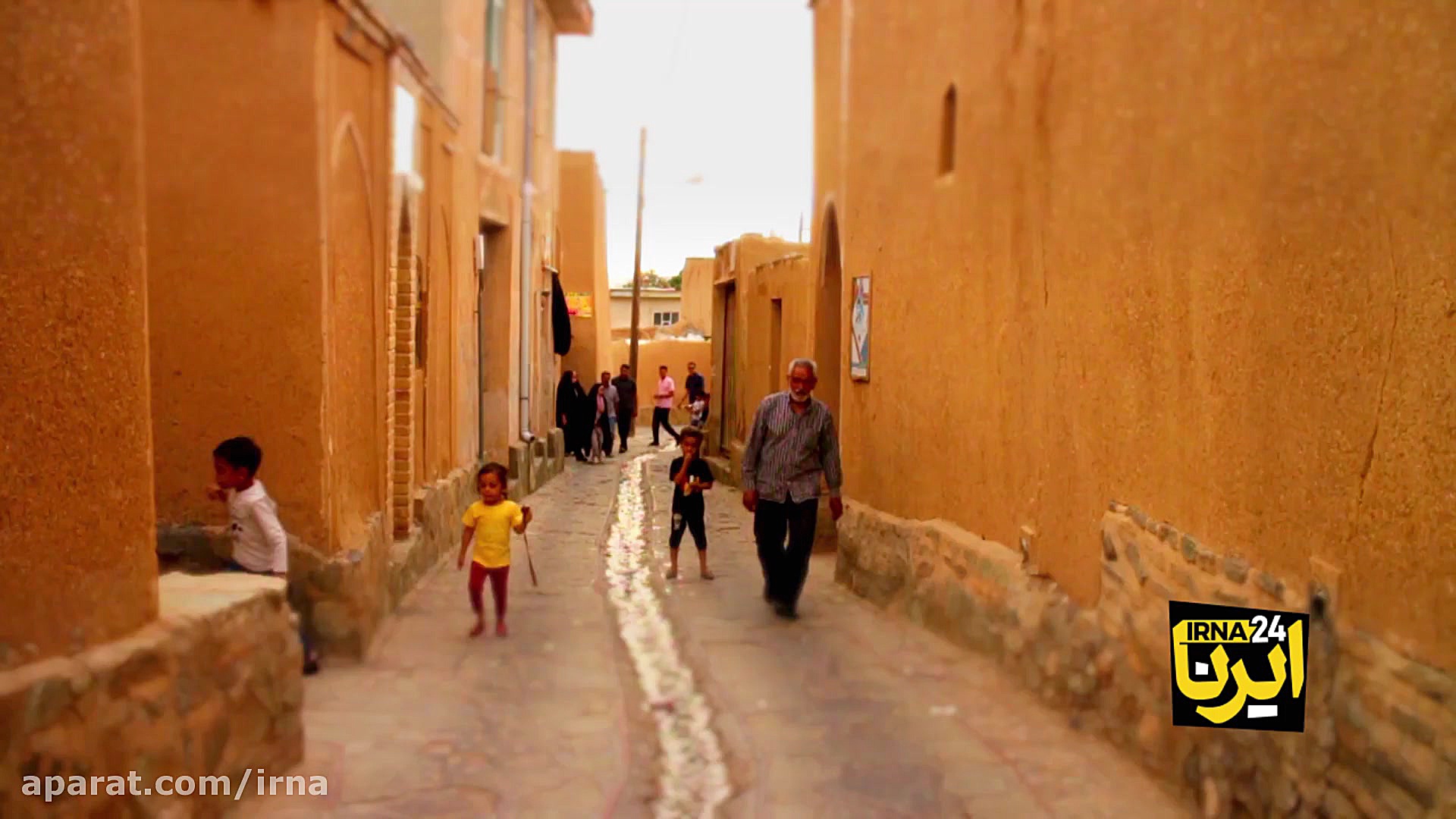 طوقی از بام خانه فریدون پرید