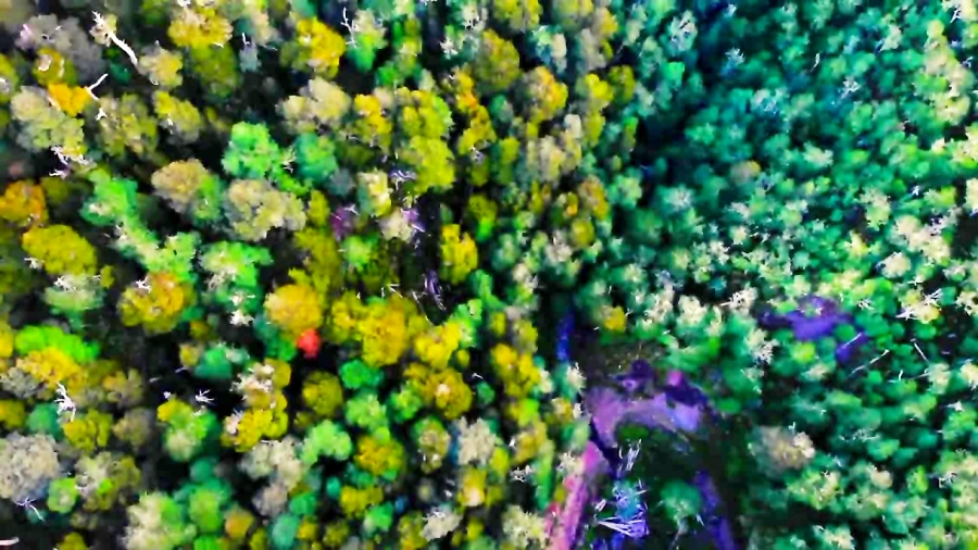 وینا دل مار، شیلی