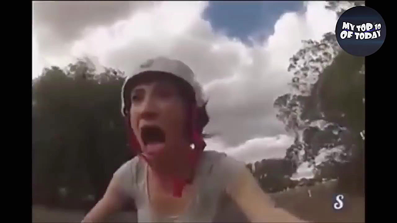 حیوانات هم از این کارهای بامزه...