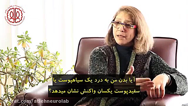 علوم اعصاب اجتماعی