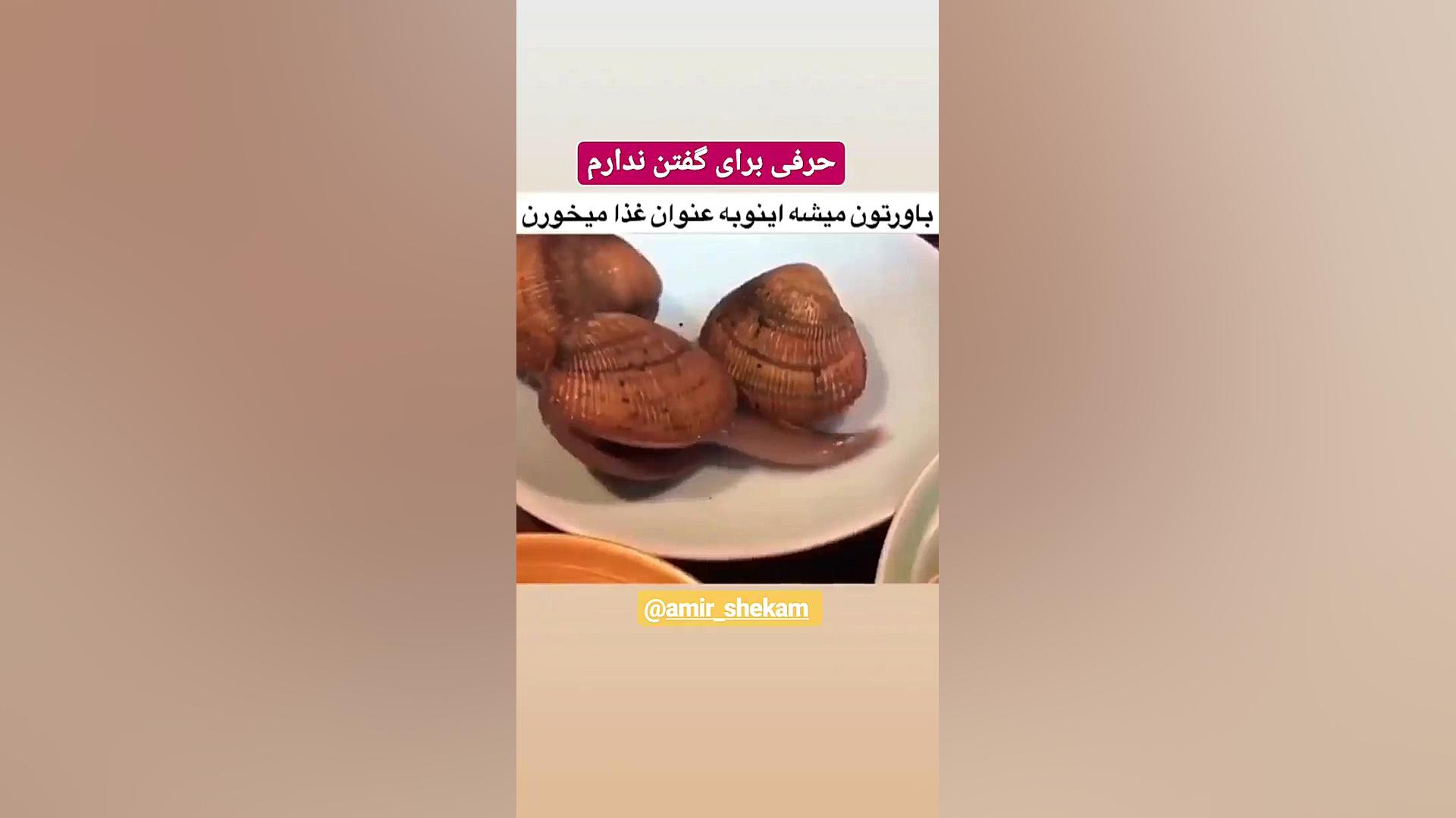 چندش ترین حلزونی که کره جنوبیه...
