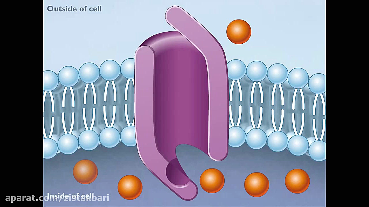 انیمیشن انتشار تسهیل شده زیست...