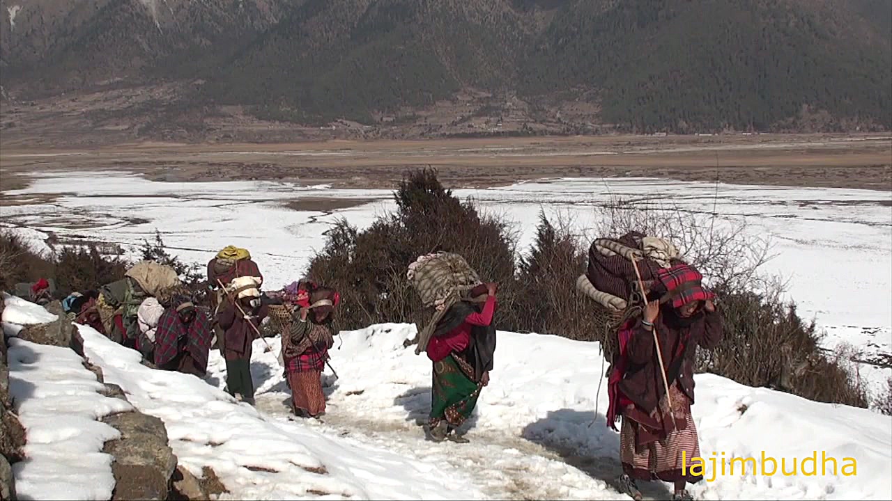 پا را به روش برف پوشانده است....