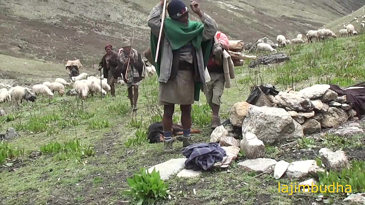 راه هیمالیا برای سرپناه || مزر...