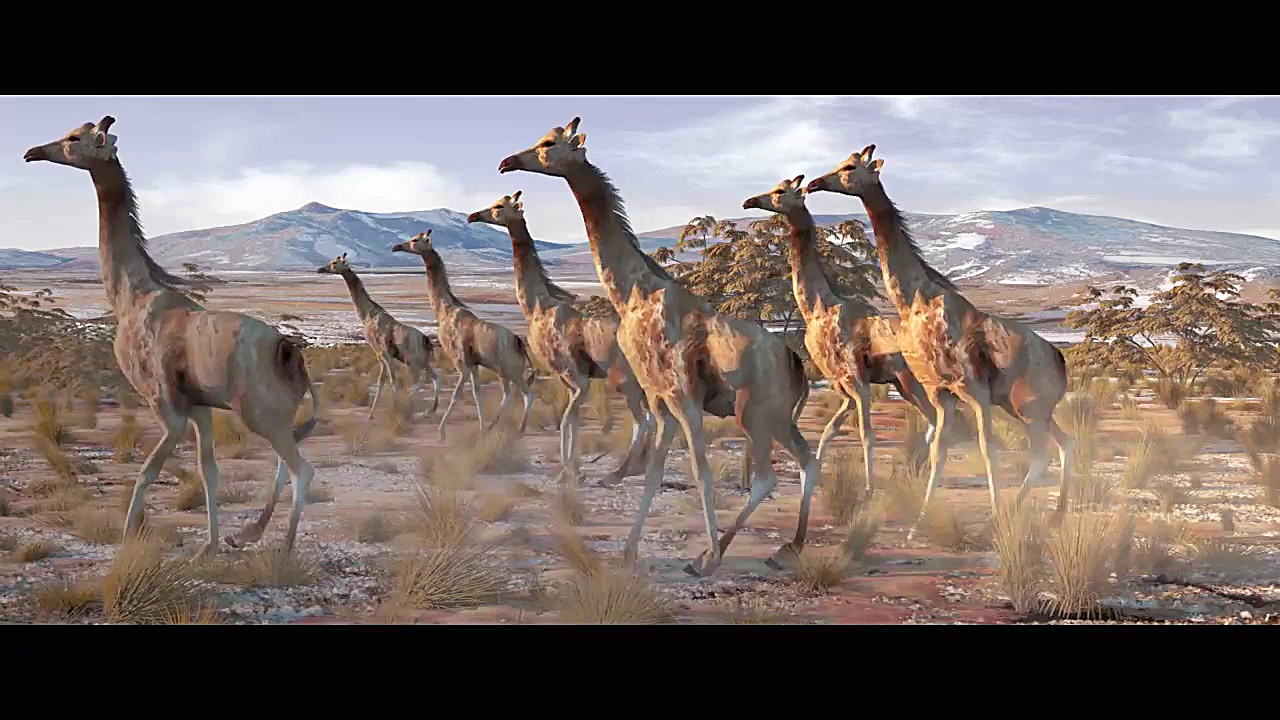 انیمیشن در بندرعباس انیمیشن بن...