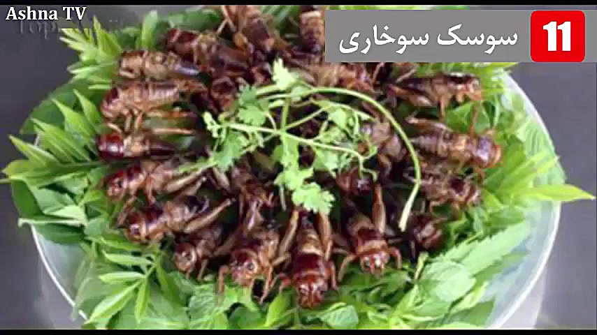 ۲۰ غذای چندش آور ( ۱۰ تا از )