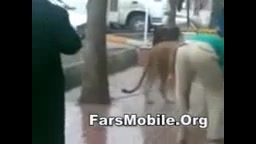 شستن شیرتویکی ازخیابان های تهر...