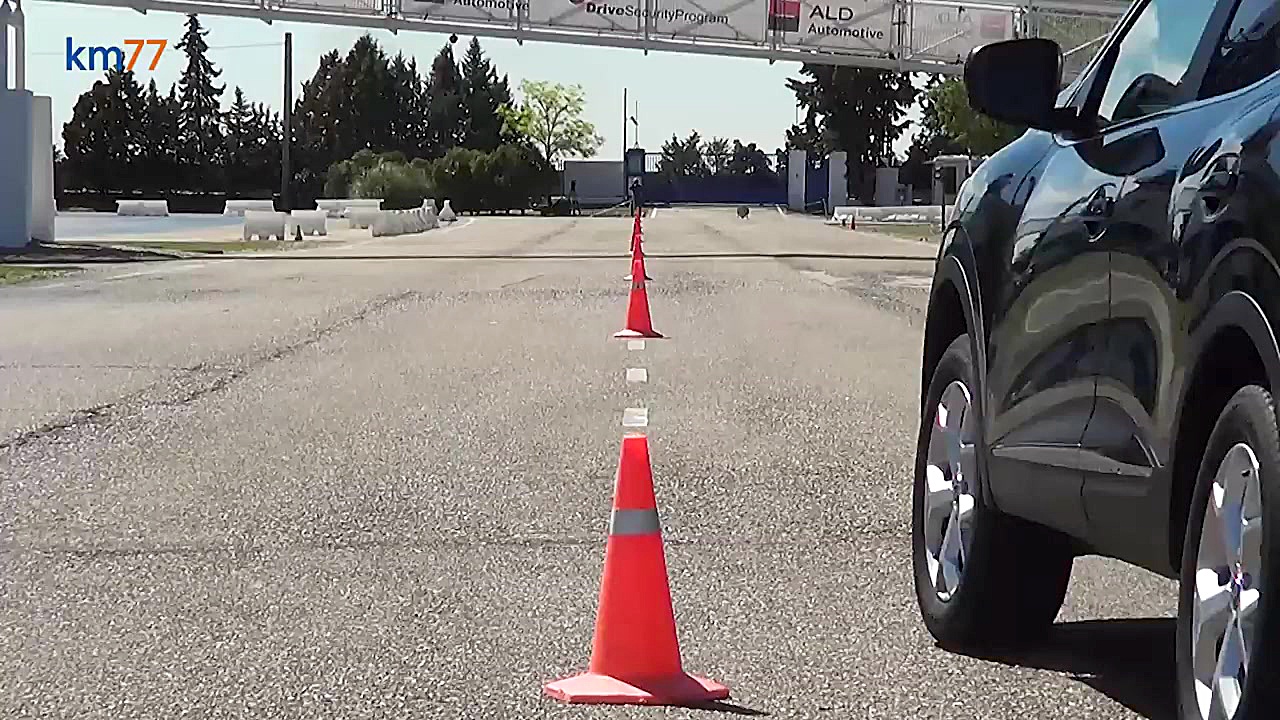 تست گوزن رنو کجار