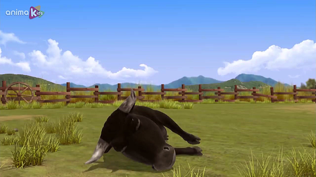 کارتون دیدنی برنارد جدید