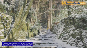 چرا شهر کیوتو بهترین مقصد گردش...