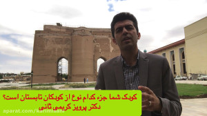 روانشناس کودک در تبریز، برنامه...