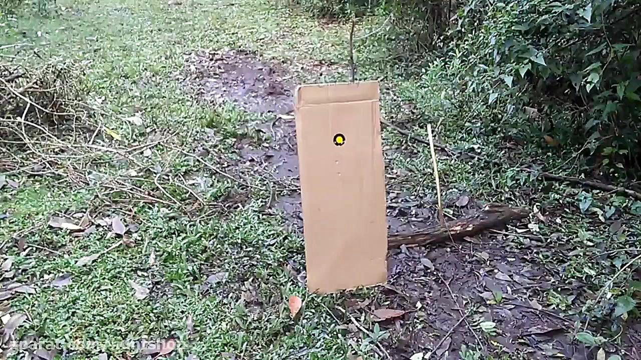 تفنگ بادی pcp آرتمیس ام۱۶  Art...