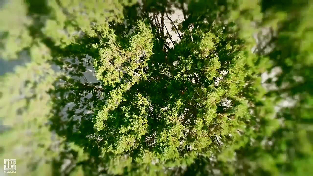 و من مگر چیستم !  علی فانی