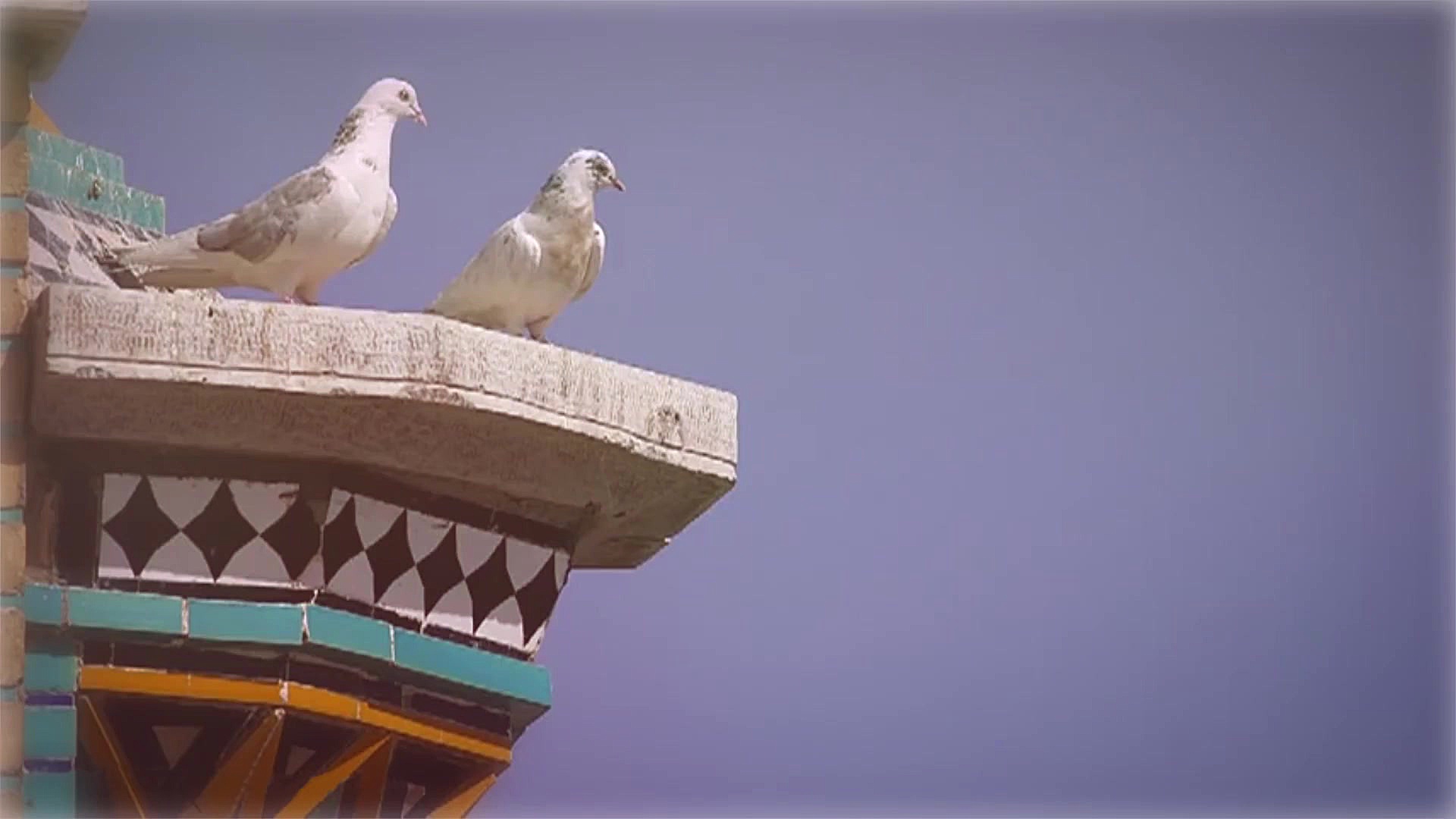 نماهنگ بانوی آفتاب  به مناسبت...