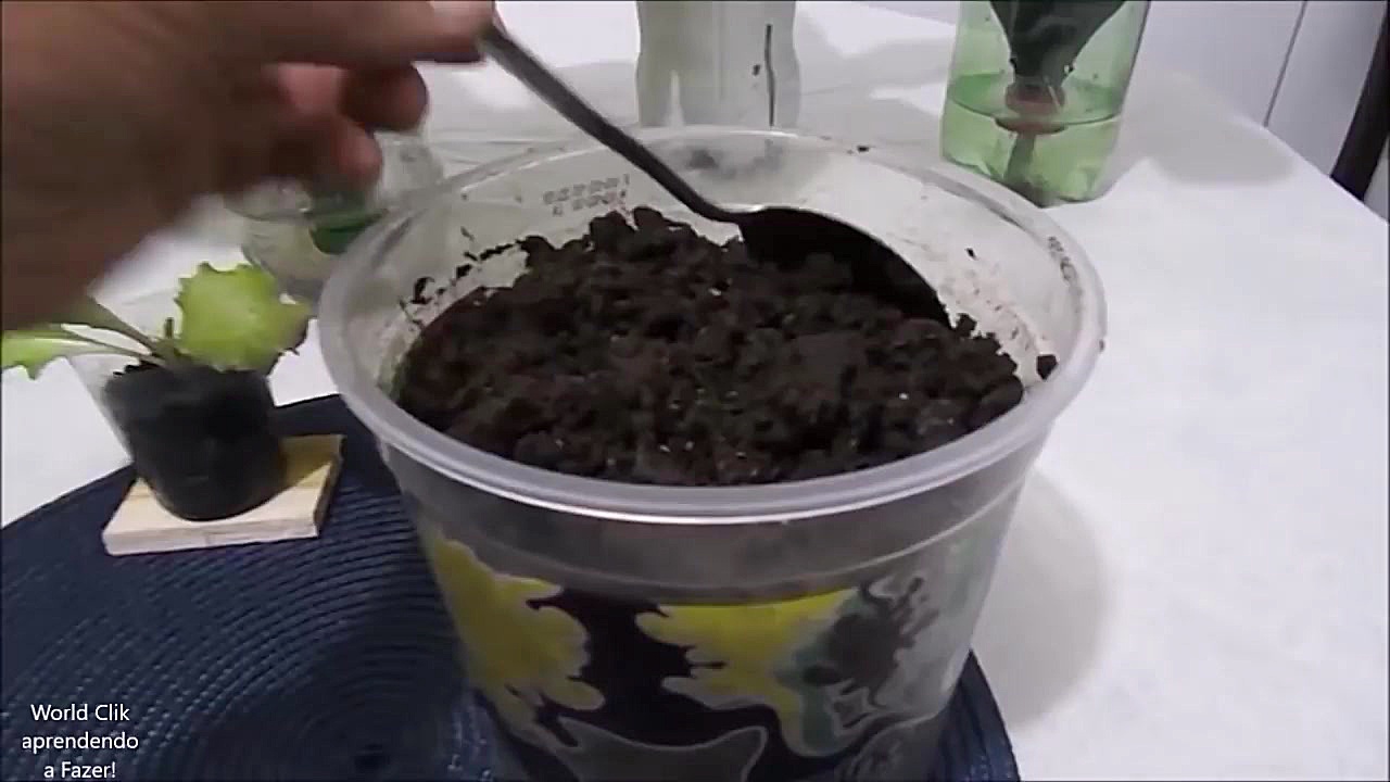 آموزش پرورش کاهو