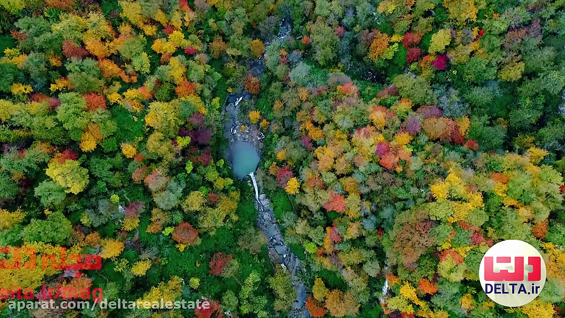 &nbsp;جنگل های هیرکانی ؛ زیبای...