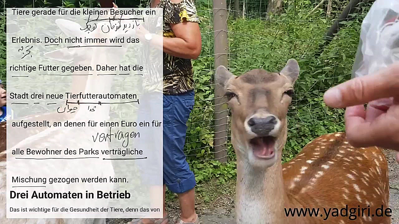 زبان آلمانی متن خوانی و فهمیدن...