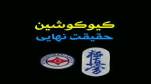 کیوکوشین حقیقت نهایی
