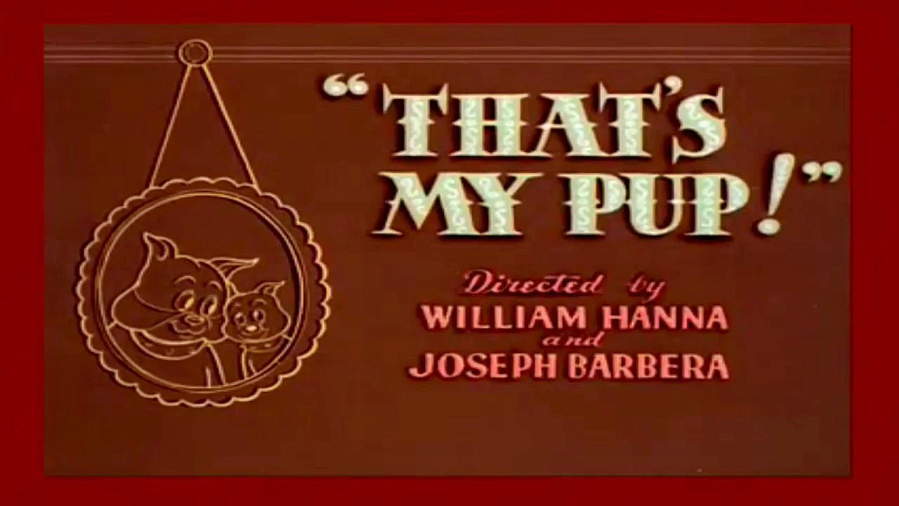 جدید ترین سری کارتون تام و جری...