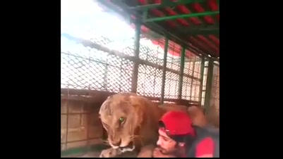 فیلم: دوستی انسان با شیر