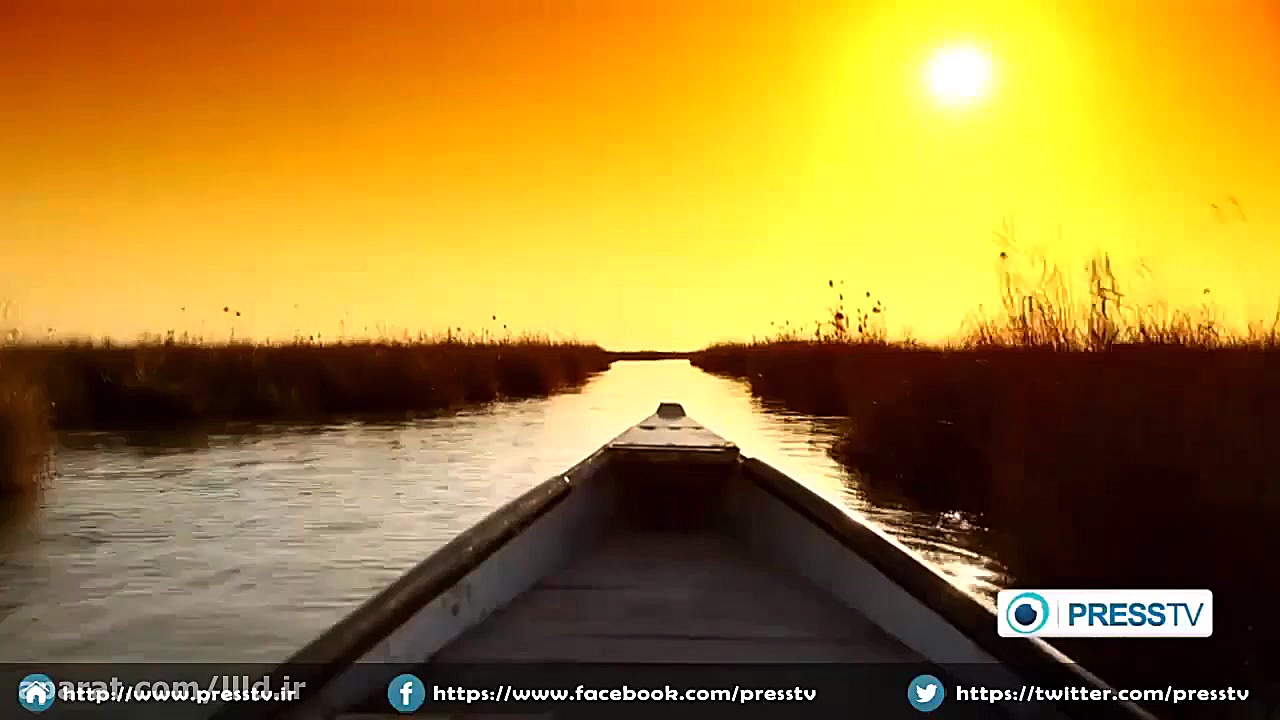 Shadegan Wetland  هور شادقان (...