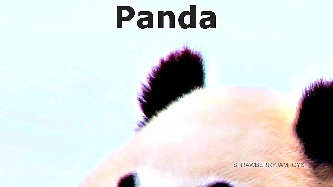 آموزش نام انگلیسی حیوانات به ک...