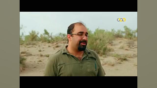 گربه سانان ایرانی ( شیرها ، بب...