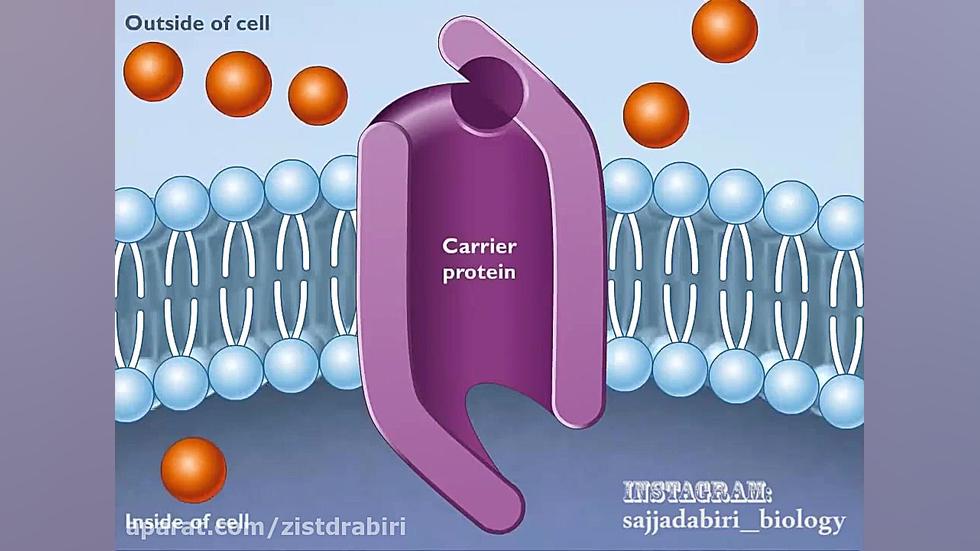انتشار تسهیل شده