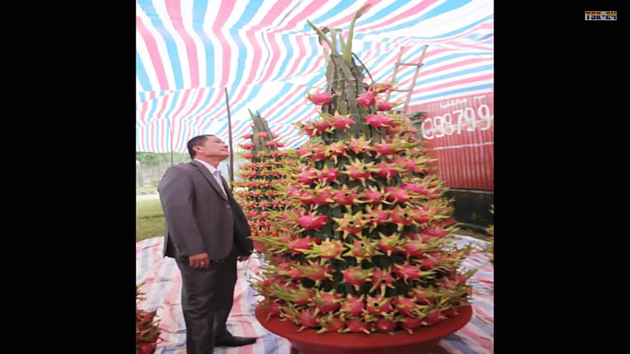 تکنولوژی کشاورزی شگفت انگیز کا...