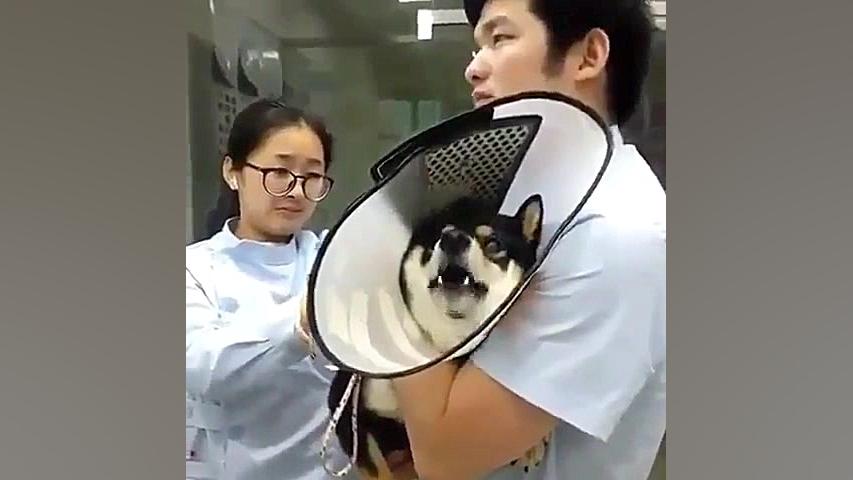 کی میگفت آمپول درد نداره؟!