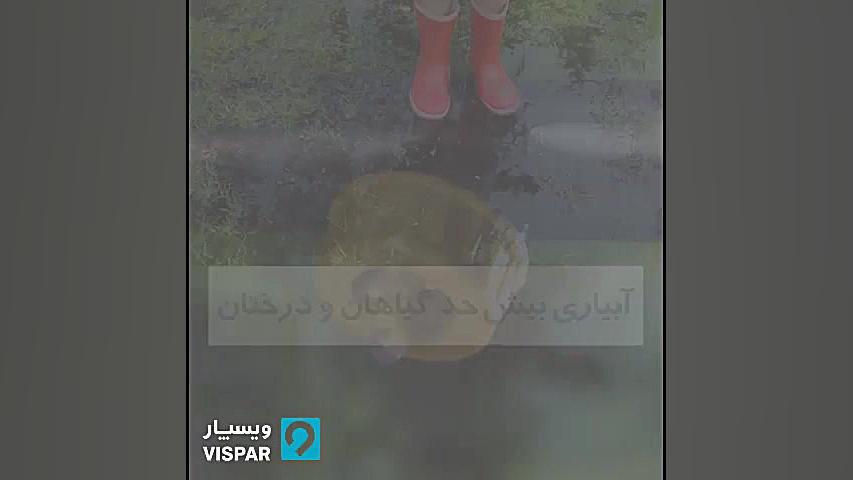 پنج اشتباه متداول در آبیاری قط...