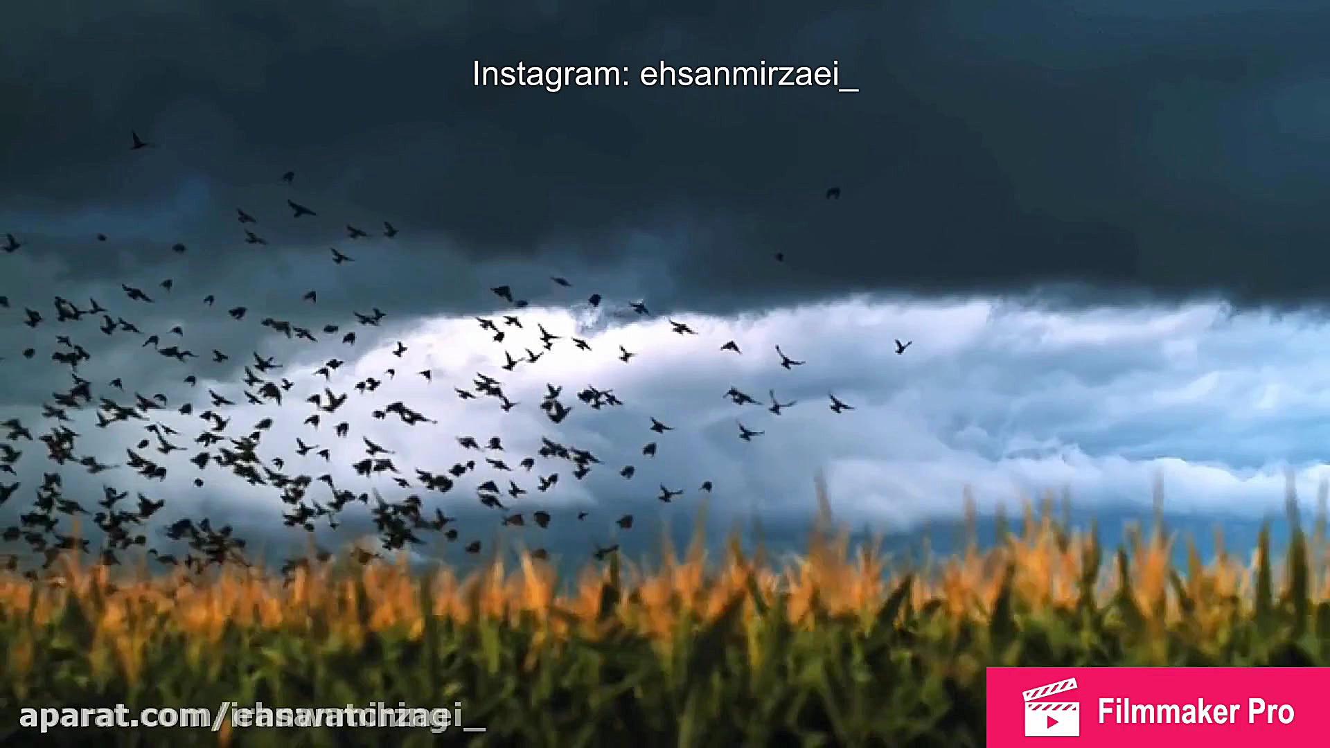 صدای رعد و برق و باران