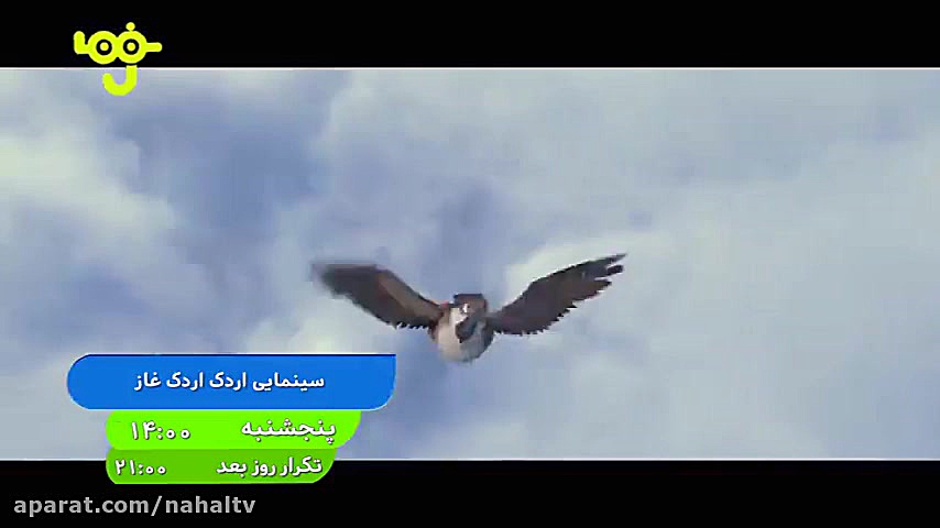 اردک اردک غاز آنونس