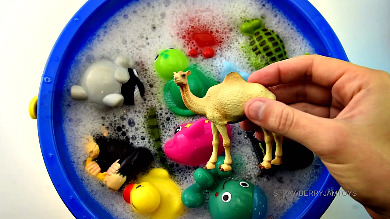 آموزش انگلیسی نام حیوانات به ک...