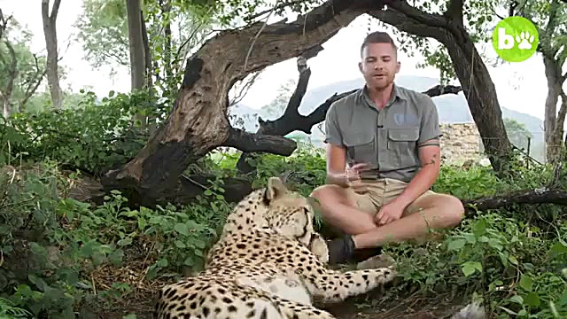 فیلم حیوانات دوستی انسان با حی...