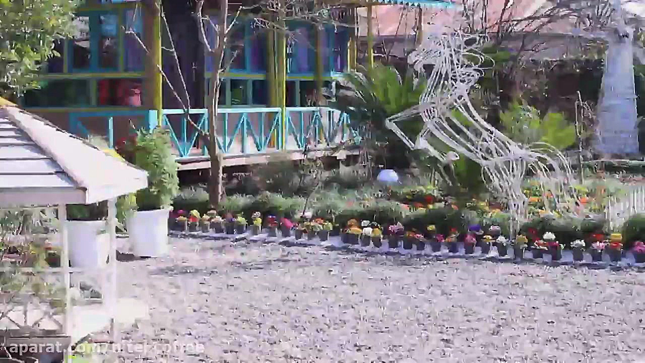 باغ گل.باغ عروس آناهیتا. پرورش...
