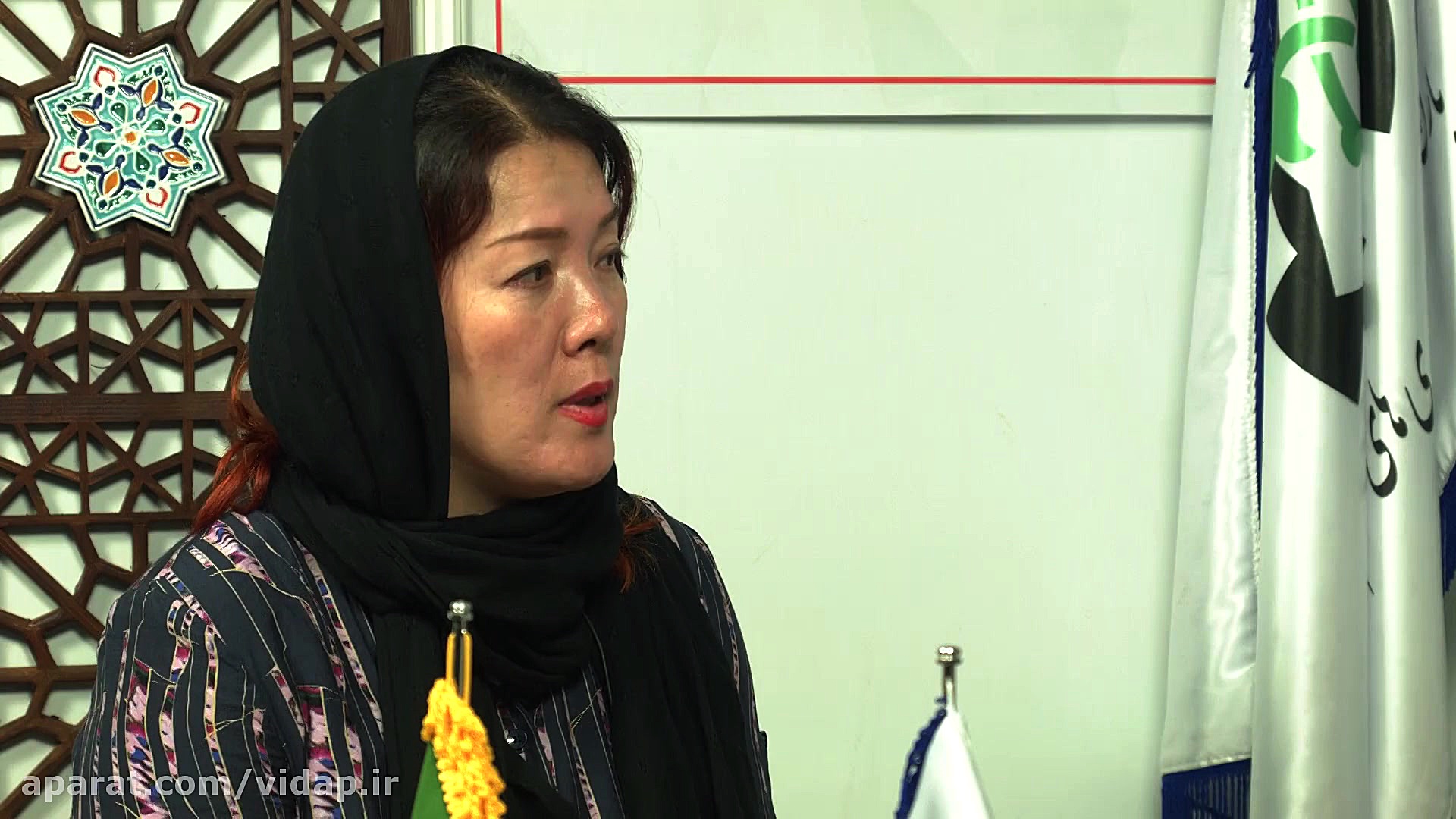 مصاحبه ی رسانه ی ویداَپ با رئی...