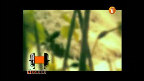 متن خوانی زهرا خاتمی و شهریور...