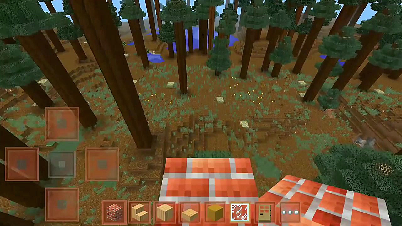 Mini Craft Story  Building Roo...