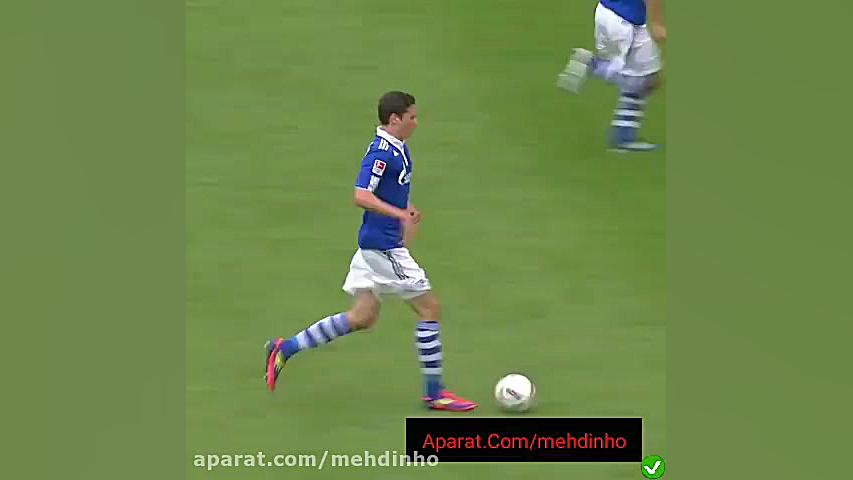 کلیپ شب(گل زیبای رائول به سبک...