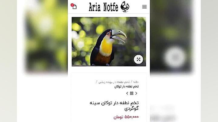 فروش تخم نطفه دار انواع ماکیان...