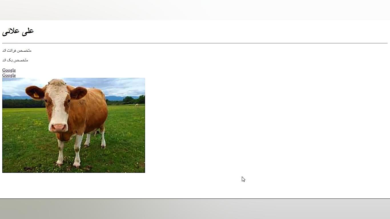 طراحی وب سایت از نقطه صفر | HT...