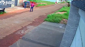حمله سگ روت وایلر به یک سگ در...