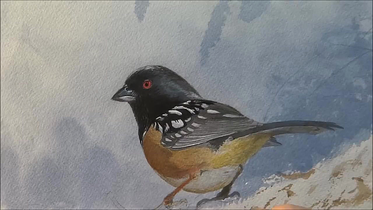 زندگی ساده یک چوب کارور  شروع...