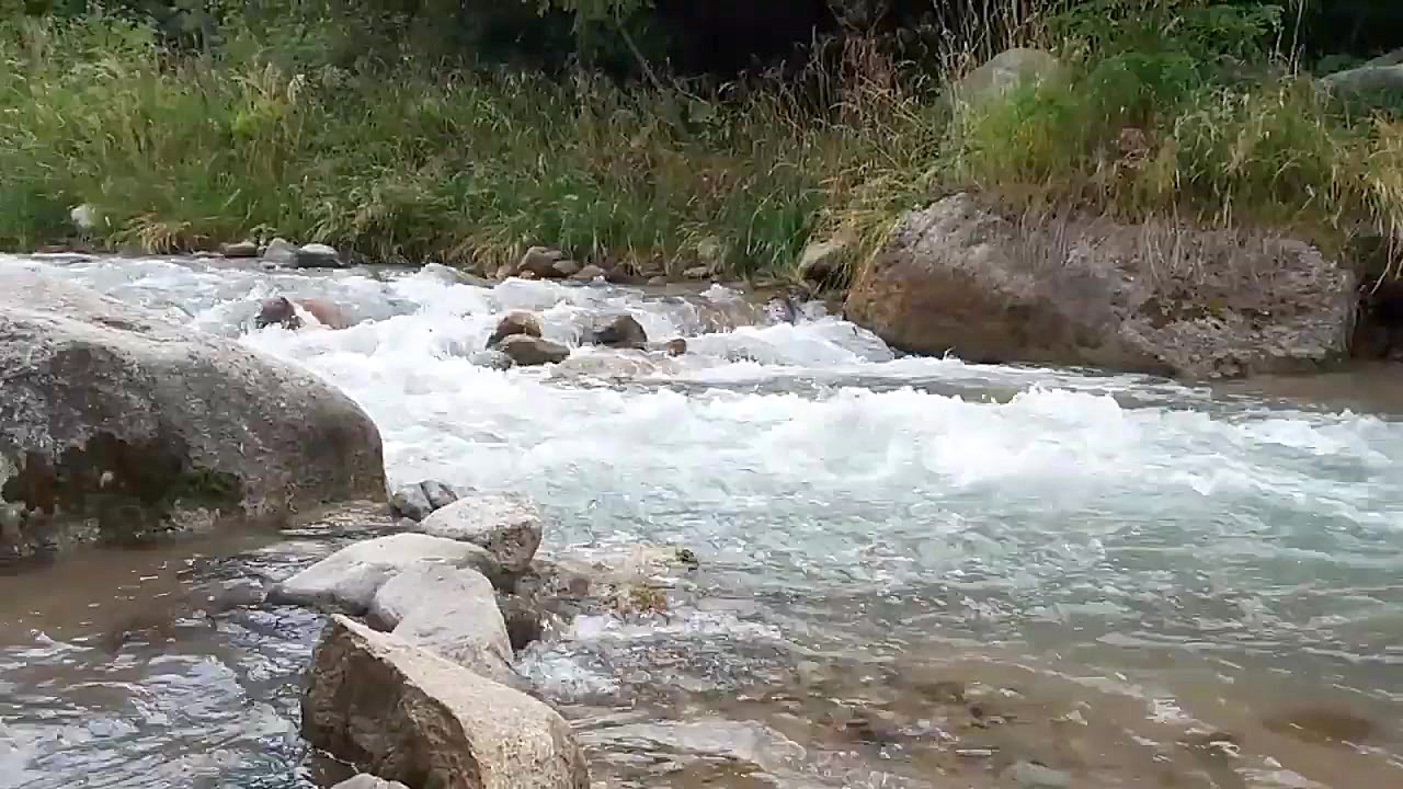 کباب گوشت و کباب مرغ